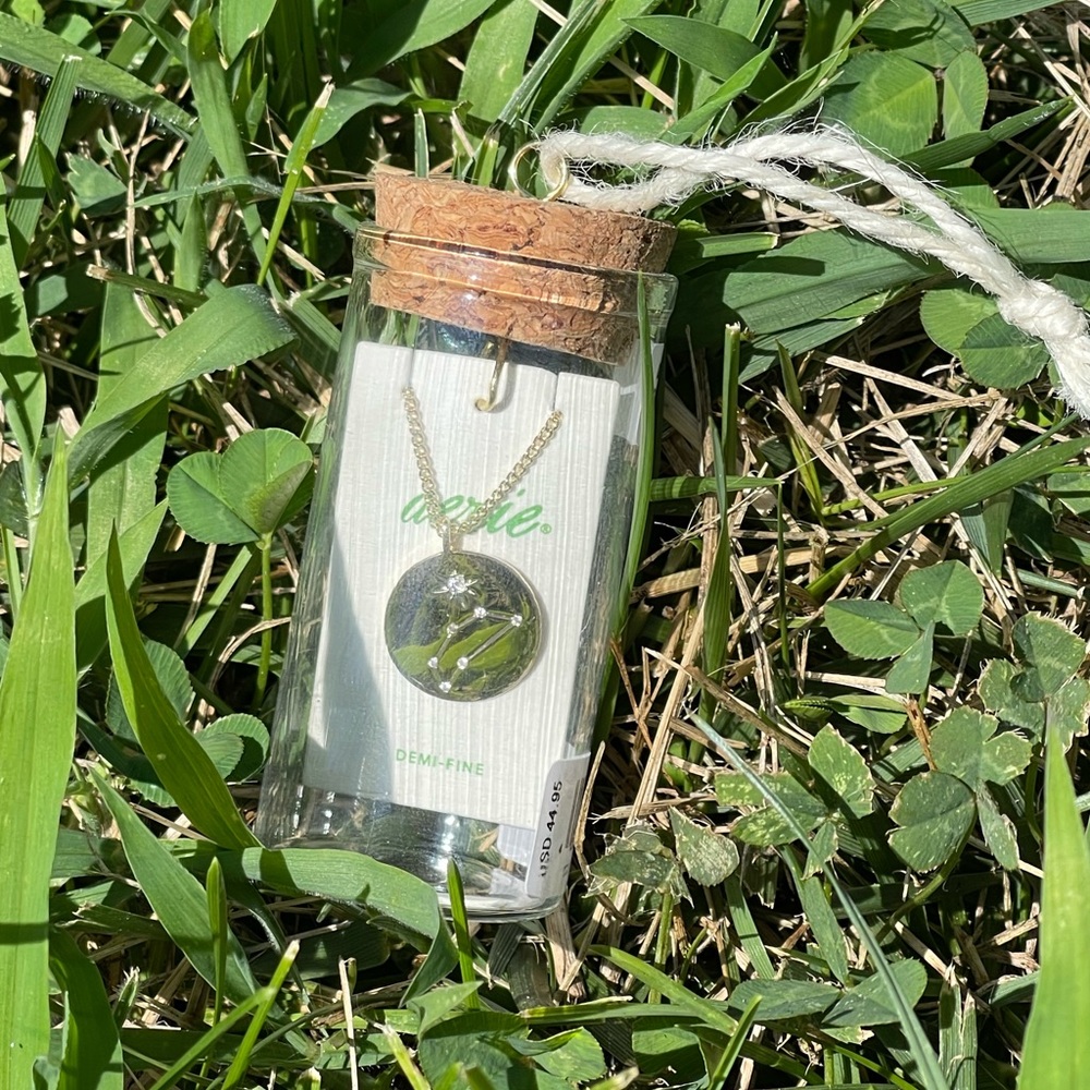 Aerie Leo Gold Necklace